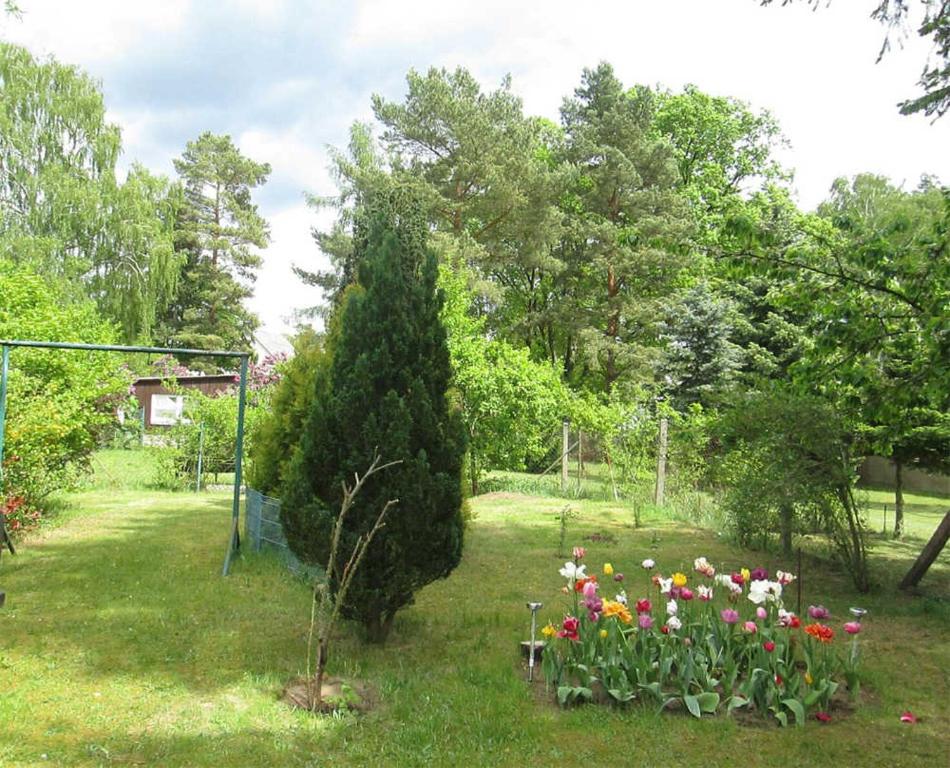 a large pine tree in a garden with flowers at Ferienhaus Himmelpfort SEE 8861 in Pian