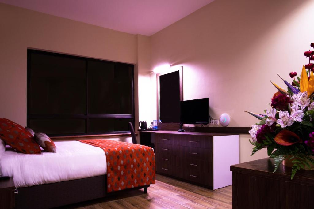 TV a/nebo společenská místnost v ubytování Bidwood Suite Hotel