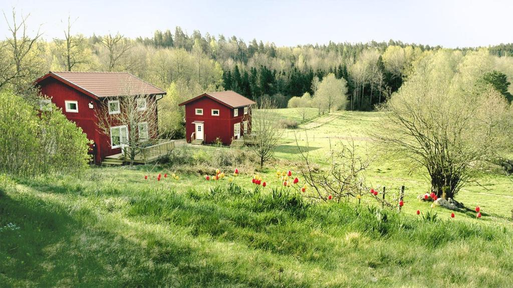 czerwony dom na polu z czerwonymi kwiatami w obiekcie Häradssätter Gård w mieście Valdemarsvik