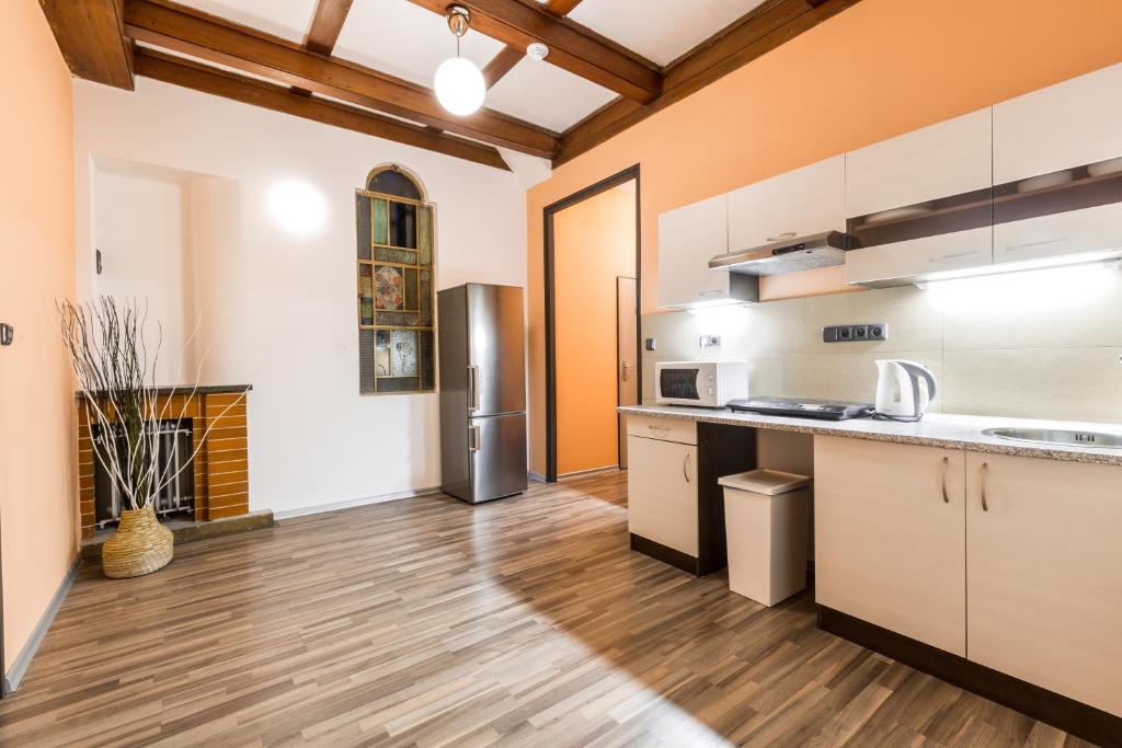 Kuchyň nebo kuchyňský kout v ubytování Rezidence Davids Apartments