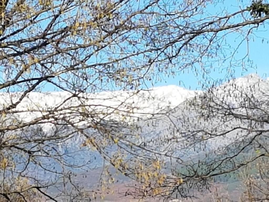Φυσικό τοπίο κοντά σε αυτός ο ξενώνας