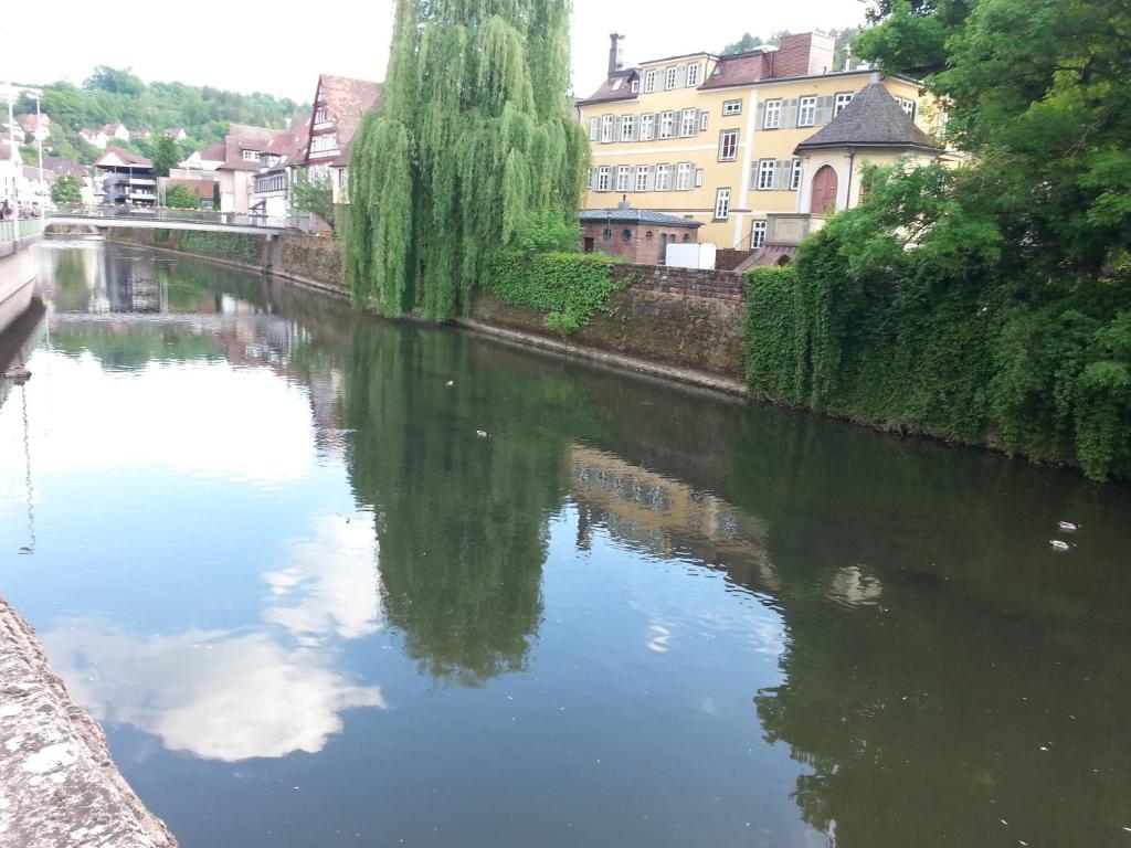 une rivière reflétant les bâtiments dans l'eau dans l'établissement Ferienwohnung Camila, à Calw