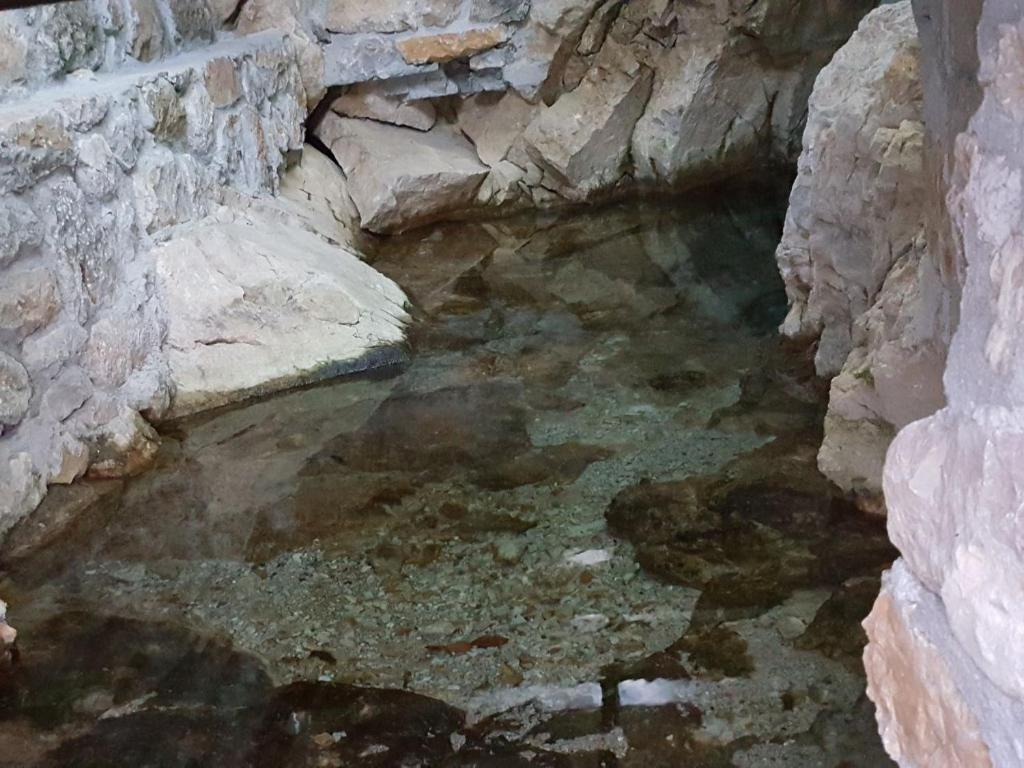 Fotografie z fotogalerie ubytování Nuci's Home glass floor v destinaci Tushemisht