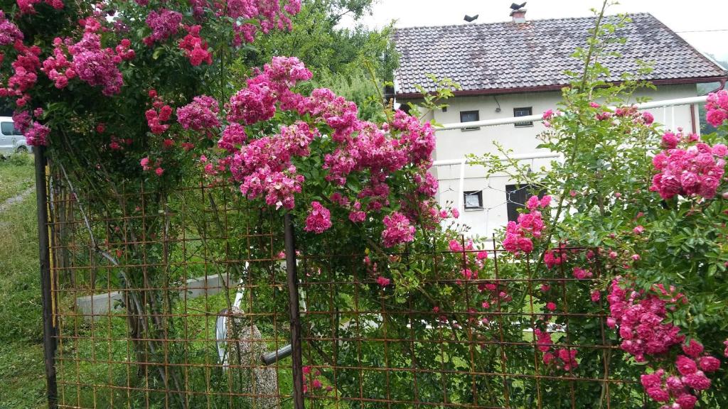 a fence with pink flowers in front of a house at Vikend kuća Careva Ćuprija-apartman in Olovo