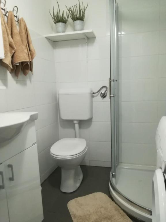 Kúpeľňa v ubytovaní Maroza