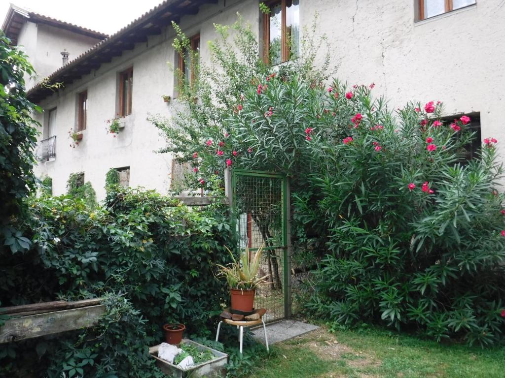 einen Garten mit Pflanzen und einem Stuhl vor einem Gebäude in der Unterkunft Stasion Di Pueste in Nogaredo