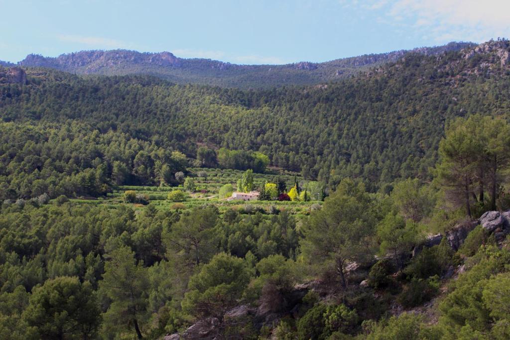 Vue aérienne d'une maison au milieu d'une forêt dans l'établissement Cortijo Los Gorros, à Moratalla