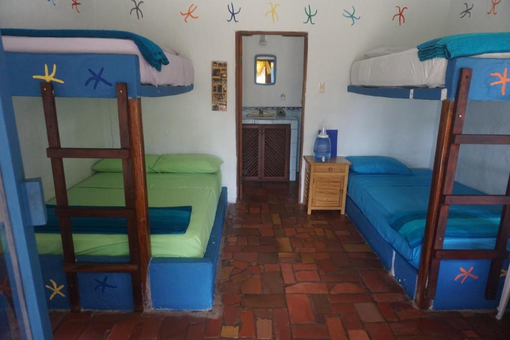 Palanda nebo palandy na pokoji v ubytování Hosteria Tsafiki