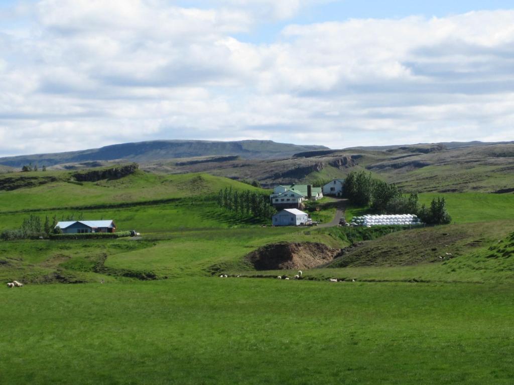 a green hillside with houses and animals in a field at Skyggnir Bed and Breakfast in Fludir