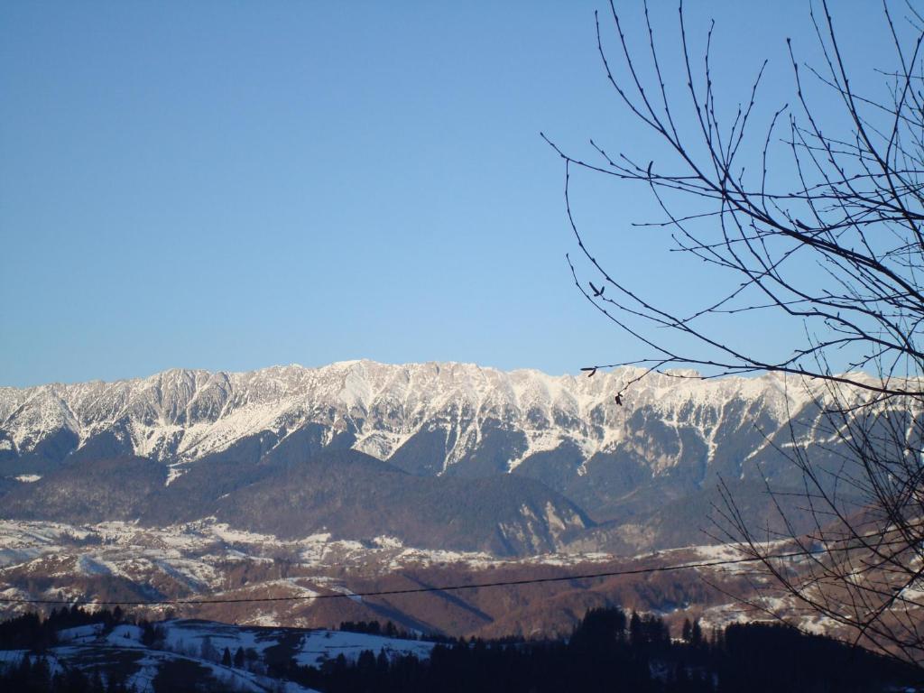 ブランにあるCasa Zaraの遠方の雪山