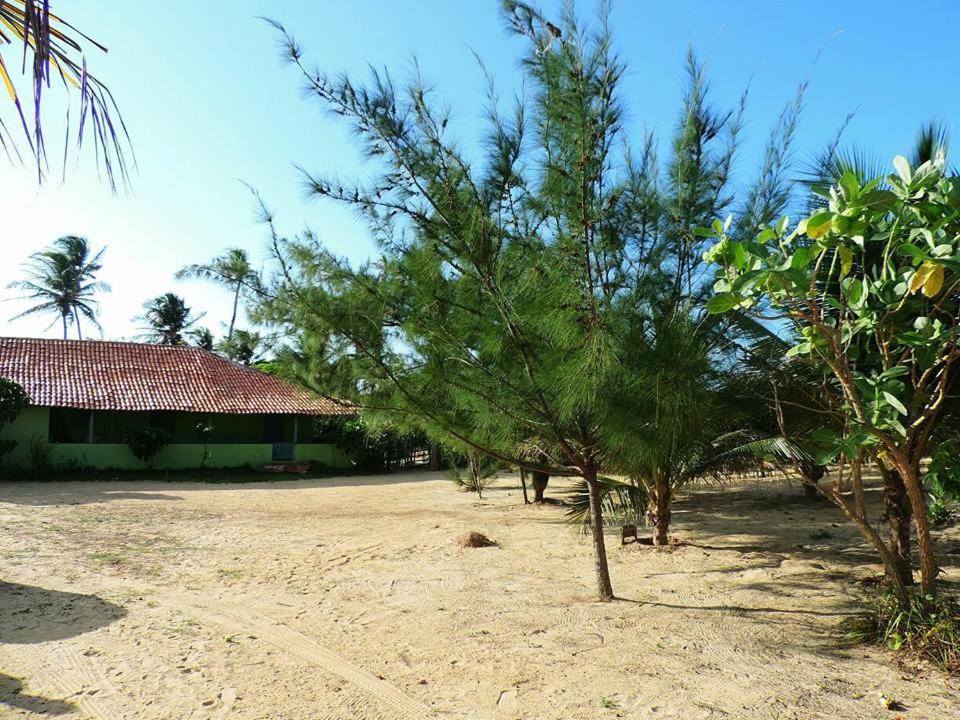  Paraíso Carnaubinha