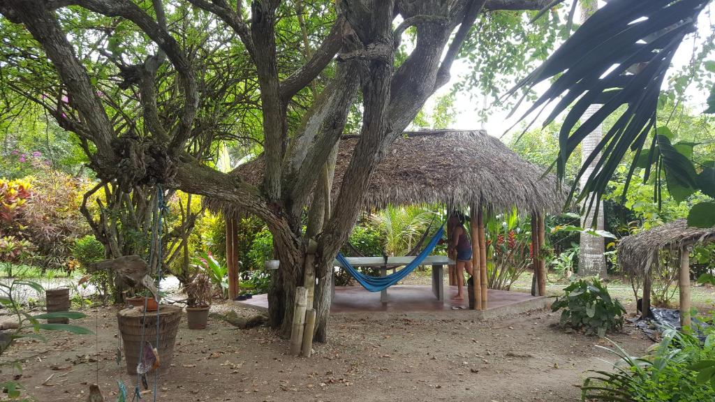 Zahrada ubytování Las Cabañas de la Iguana