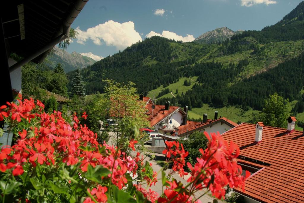 Elle offre une vue sur un village aux fleurs rouges. dans l'établissement FEWO Schwandenhof, à Bad Hindelang
