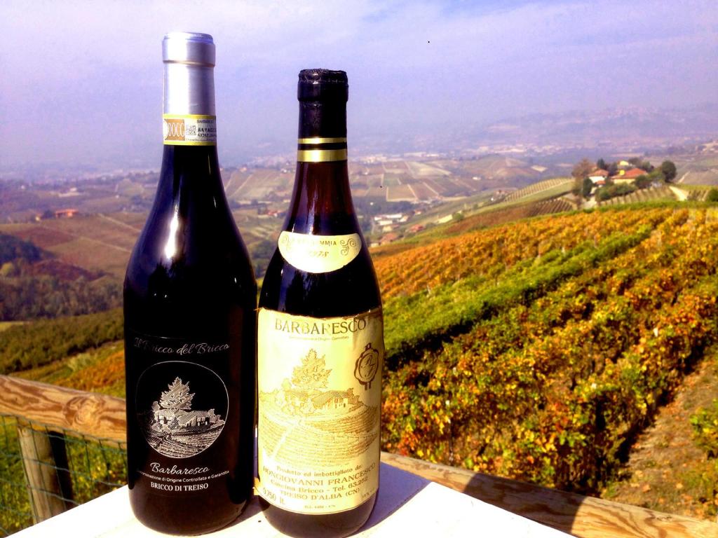 twee flessen wijn bovenop een hek bij Agriturismo Il Bricco in Treiso