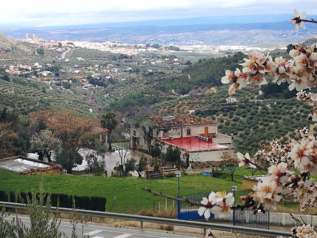 a view of a city from a hill with flowers at Alojamiento Rural la Caseria de Piedra Restaurante in Jaén