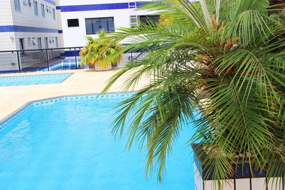 un palmier en face d'une piscine dans l'établissement Js Palace Hotel, à Alfenas
