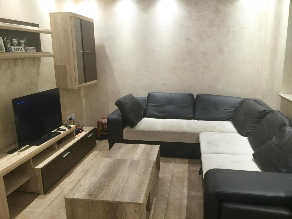 sala de estar con sofá y TV en Prle Apartment, en Novi Sad