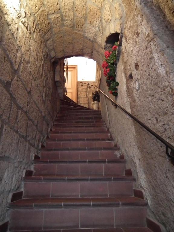 un escalier dans un tunnel en pierre fleuri dans l'établissement il rifugio della cava, à Orvieto