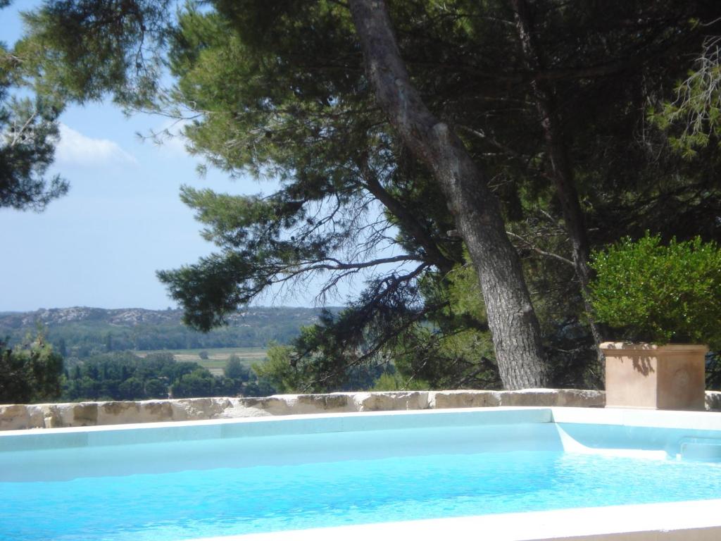 a swimming pool with a tree in the background at Lou Ventoulet in Mouriès