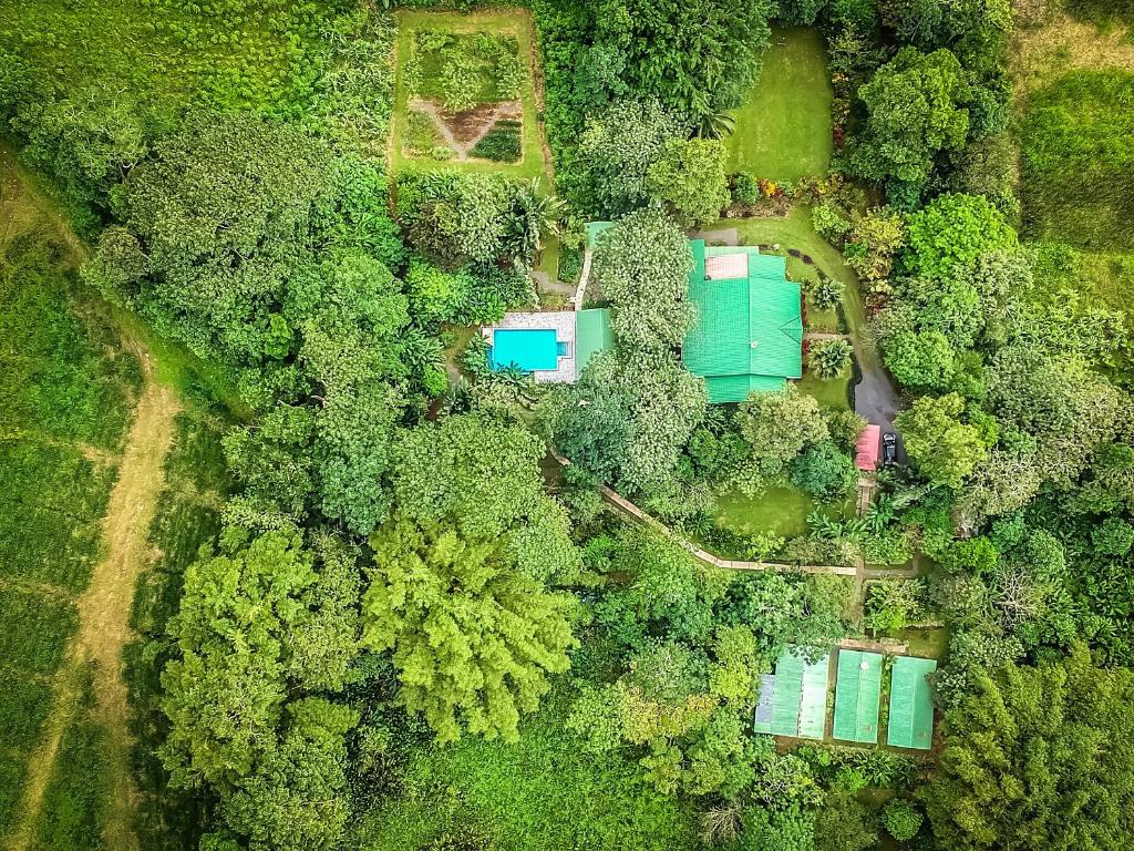 Letecký snímek ubytování Tropical Paradise Bungalows