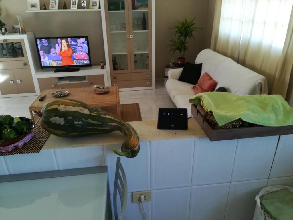 TV a/nebo společenská místnost v ubytování Casa Papi