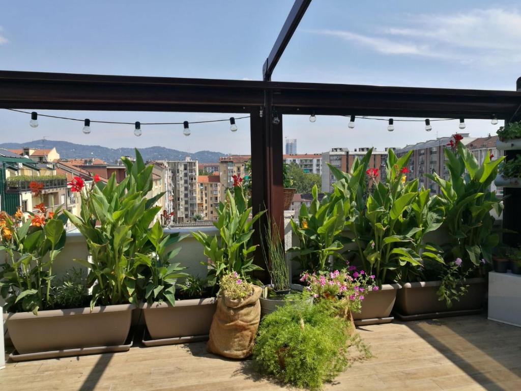 d'un balcon avec des plantes en pot sur le toit. dans l'établissement Floorplan B - 208, à Turin