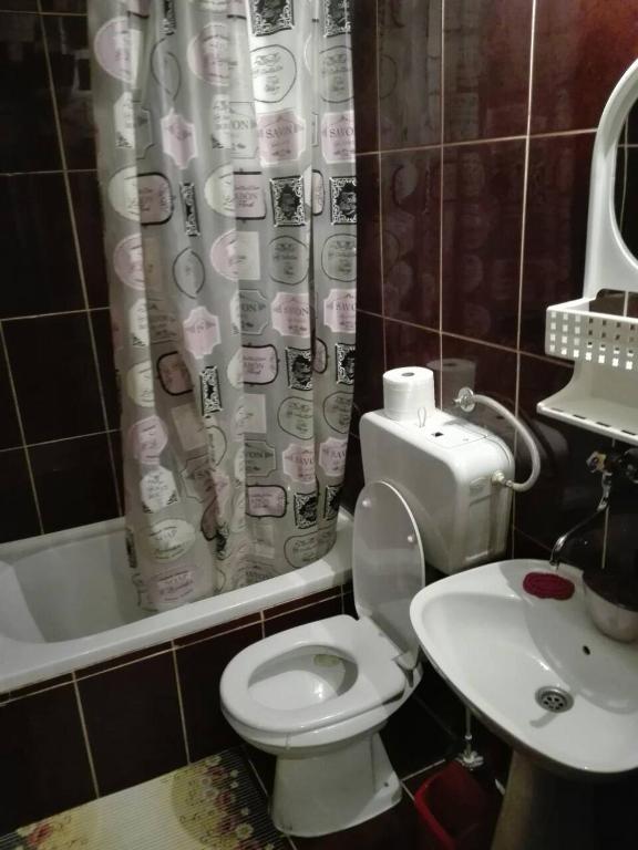 Apartmani Janković - MATURAMENTO DELLA STUDIO