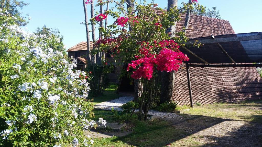 un jardín con flores rosas en un árbol en alpinas lapaloma, en La Paloma
