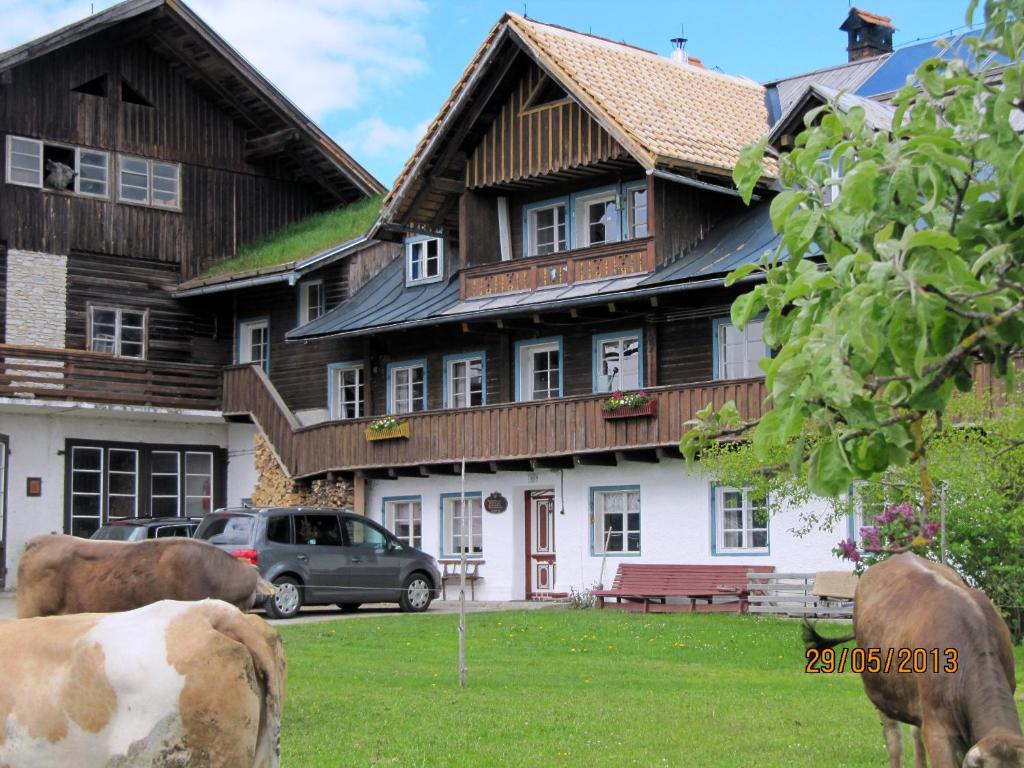 una casa con due mucche davanti di Landl Vorberg a Ramsau am Dachstein