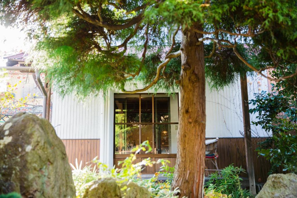 Zahrada ubytování Guest House Kura