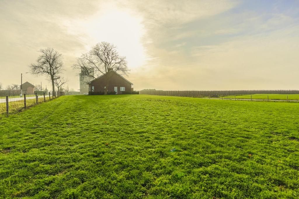 un gran campo verde con un granero a lo lejos en De Oude Katsei, en Gingelom