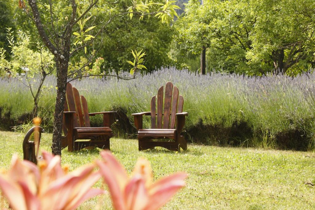 two chairs sitting in the grass next to a tree at Huala Hosteria in Lago Puelo