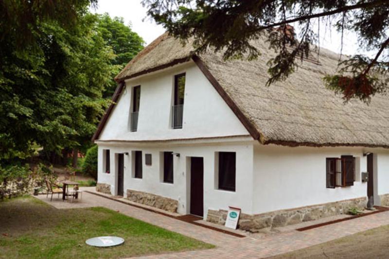 Casa blanca grande con techo de paja en Ferienwohnung Am Skulpturenweg, en Hohen Demzin