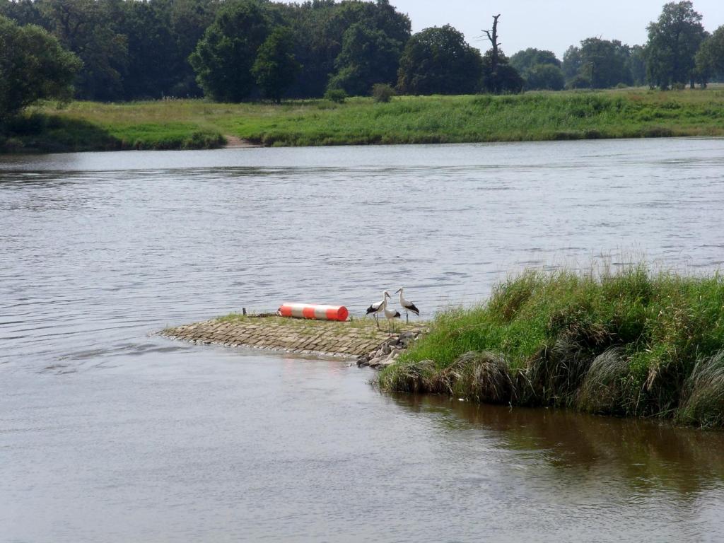 Loodusmaastik külalistemaja lähedal