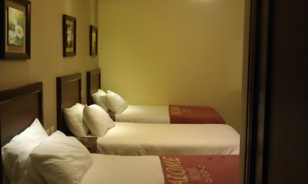 Postel nebo postele na pokoji v ubytování Salome Hotel