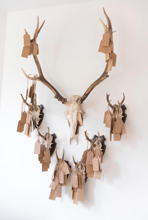 Jorvik House - Resim 14