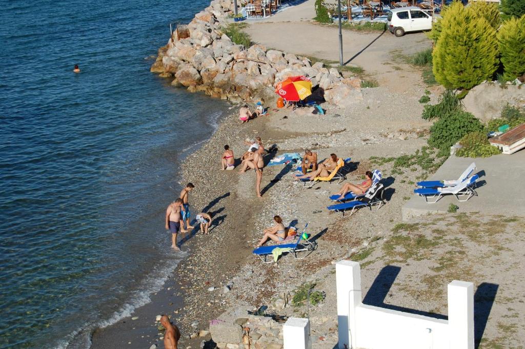 Příroda nedaleko apartmánu