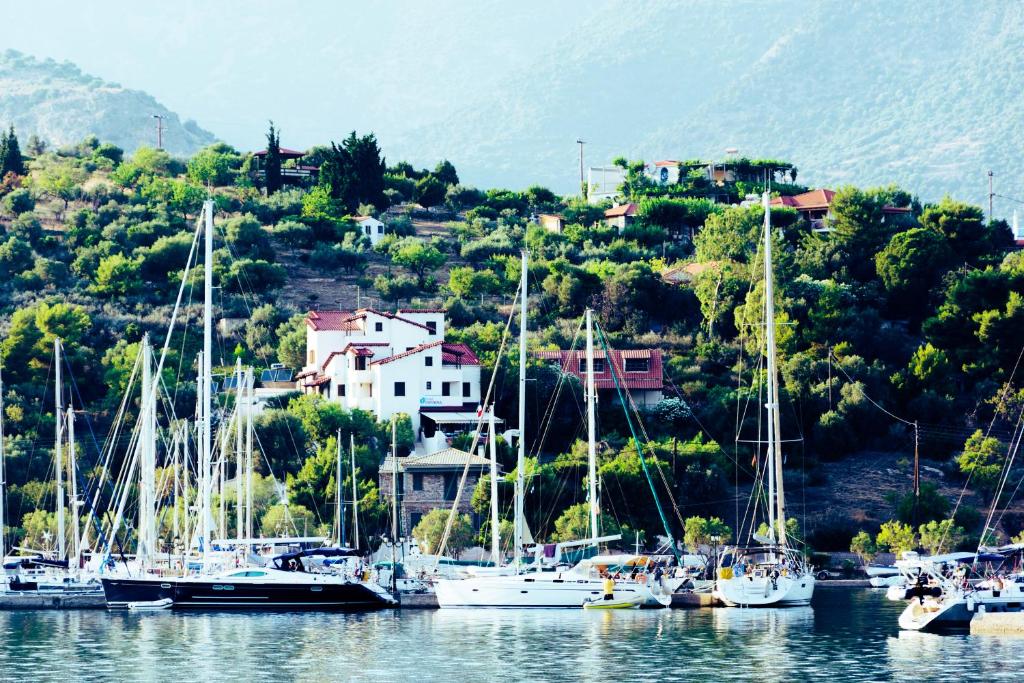 a bunch of boats are docked in a harbor at Drymna in Trizonia