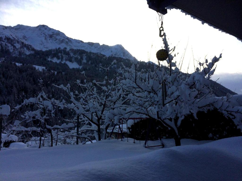 a tree covered in snow with mountains in the background at B&B Gottardo in Airolo