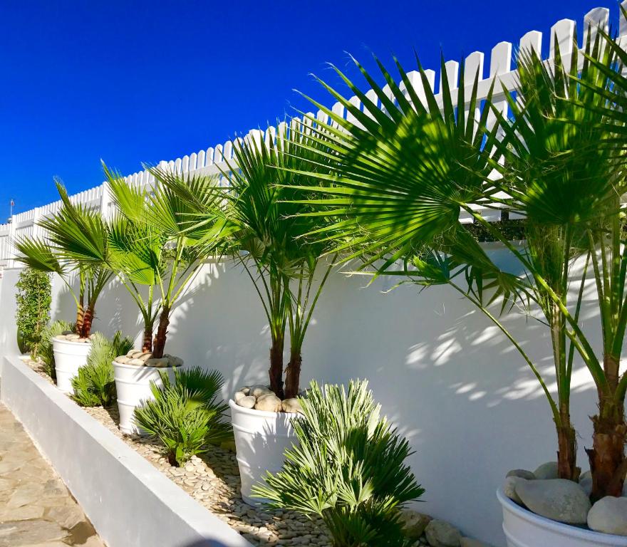 Fotografie z fotogalerie ubytování Almyrida Sands v destinaci Almirída