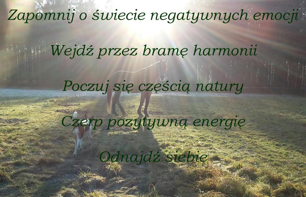Fotografie z fotogalerie ubytování Agroturystyka Polana Harmonii v destinaci Przytoczna 