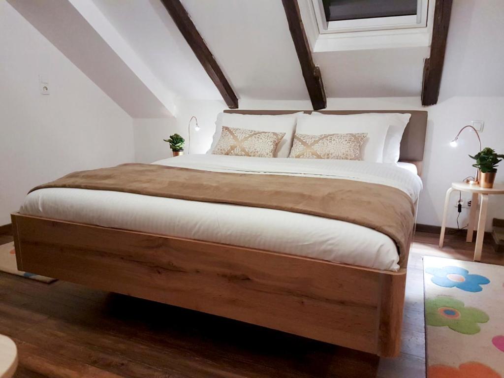 Mickey Mouse Supilova 24 - 2