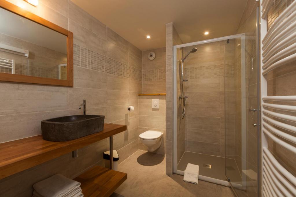 ル・ブール・ドアザンにあるappartement des Alpesのバスルーム(洗面台、トイレ、シャワー付)