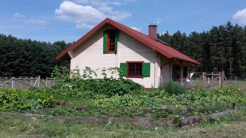 Zahrada ubytování Agroturystyka Polana Harmonii