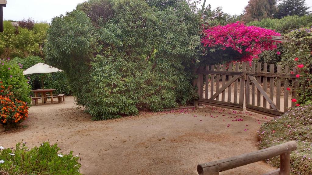 Zahrada ubytování Cabaña Los Laureles