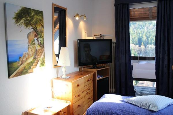 TV a/nebo společenská místnost v ubytování Hotel-Pension Thomé