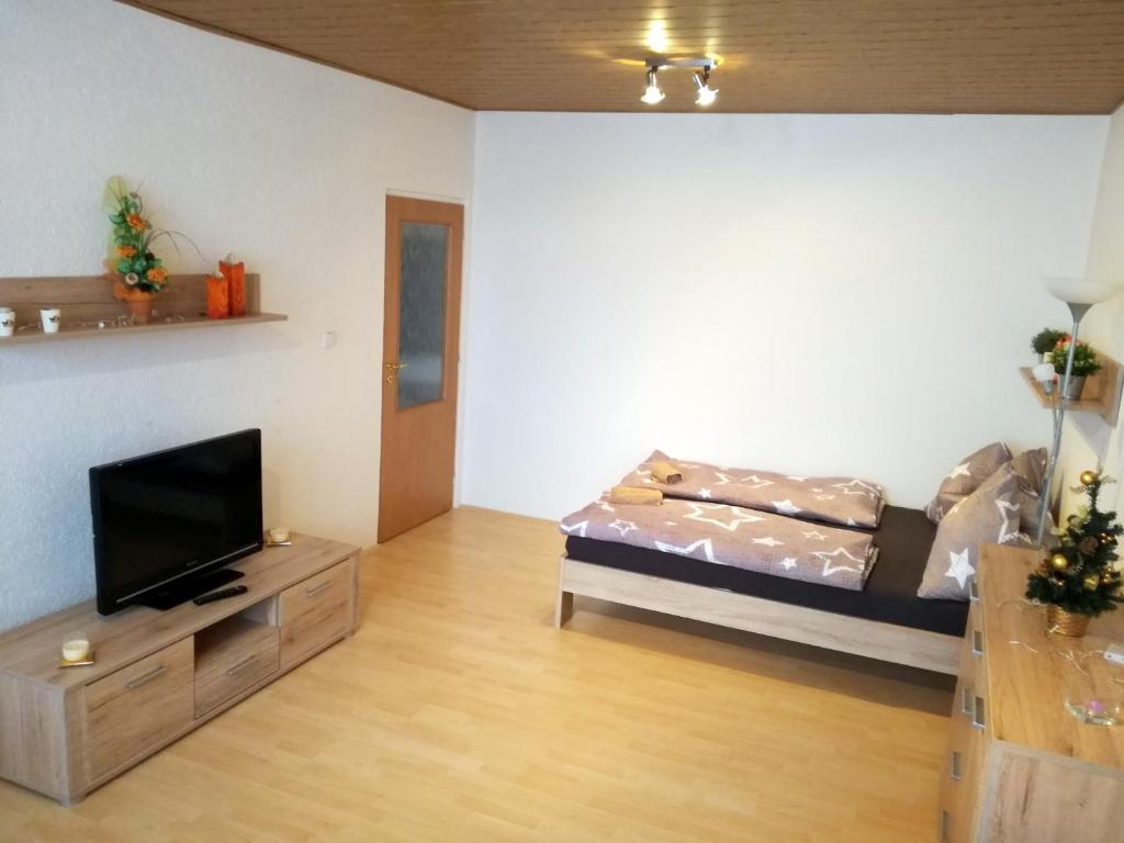 TV a/nebo společenská místnost v ubytování apartmány 2+1 u Klínovce