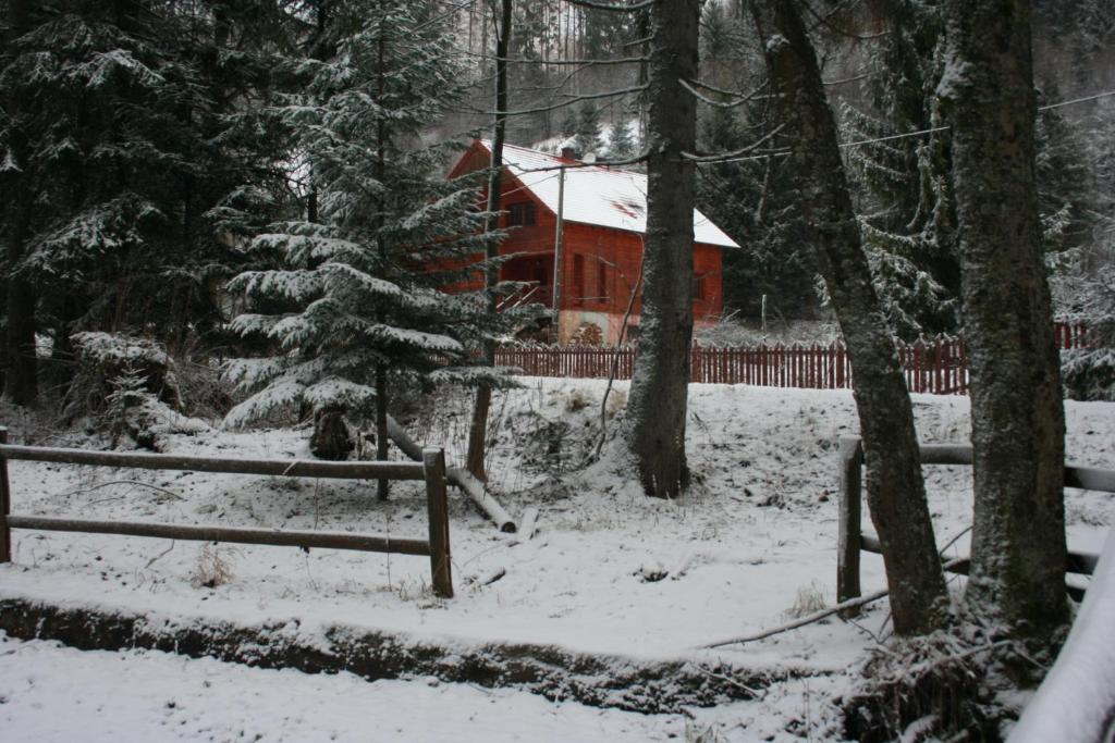 Pensjonat Danielka - Five-Bedroom House