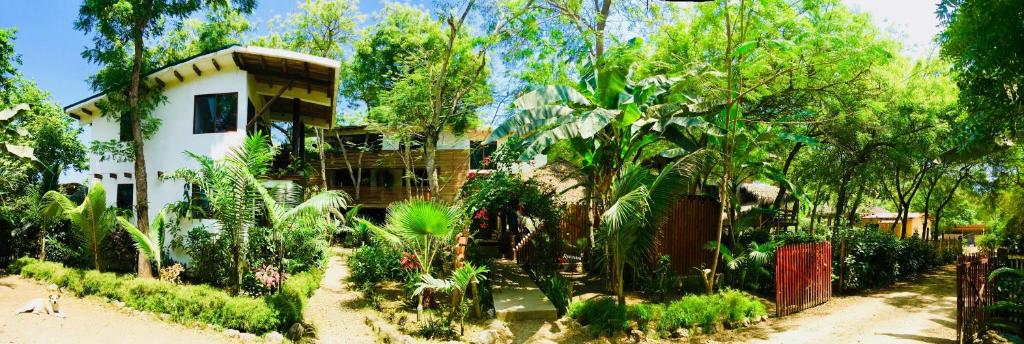 a house with a lot of plants and trees at Spondylus Lodge in Ayampe