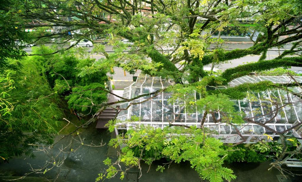 Sino House Phuket Hotel - SHA Plus - Resim 30